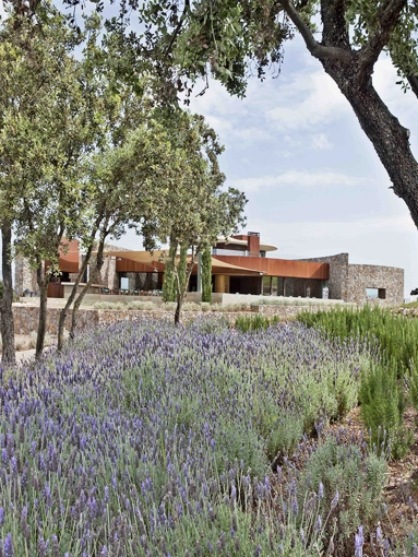 Restoration, Hotels / Restaurants