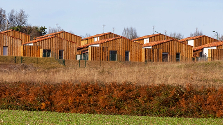 New Build, Multi-unit Residential Buildings, Renovation
