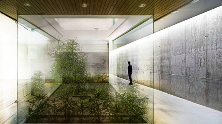 Landscape Design, Townhouse, Interior Architecture & Design, Flats / Apartments