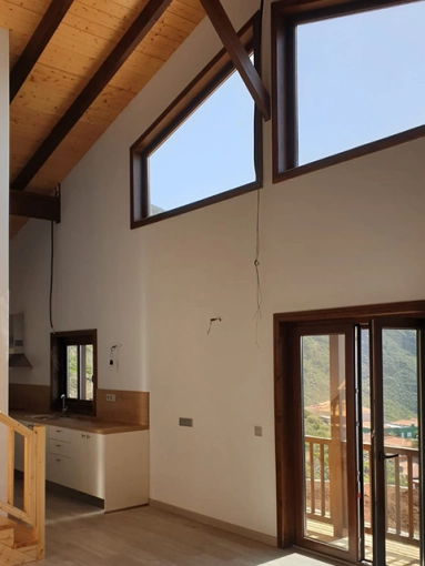 Single-Family Homes, Renovation, Conversion